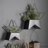 Ghedi Neptune Star Planter Set of 2 — SantoLusso®
