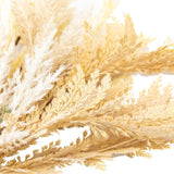 Ghedi Dry Grass Bouquet Small — SantoLusso®