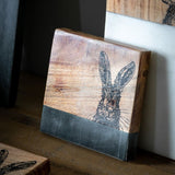 Ghedi Hare Coasters Black Marble Set of 4 — SantoLusso®