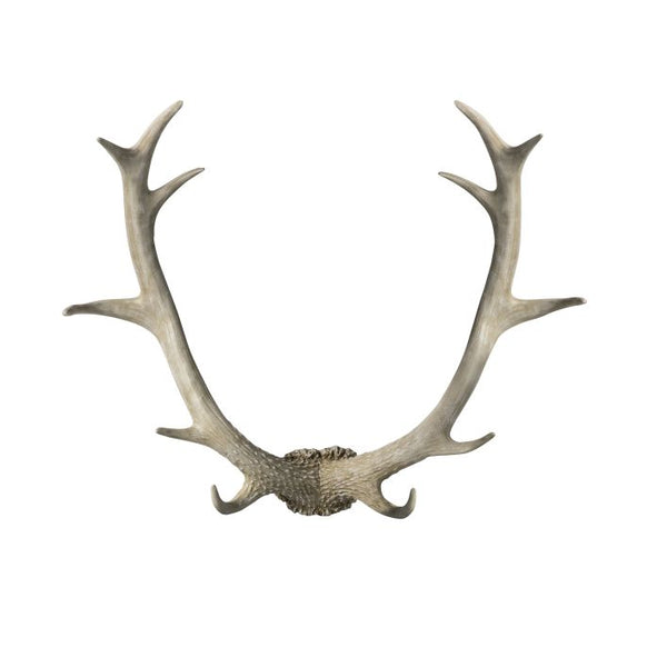 Ghedi Bjorn Antler Wall Art White — SantoLusso®