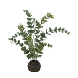 Ghedi Eucalyptus in Soil Dusky Green — SantoLusso®