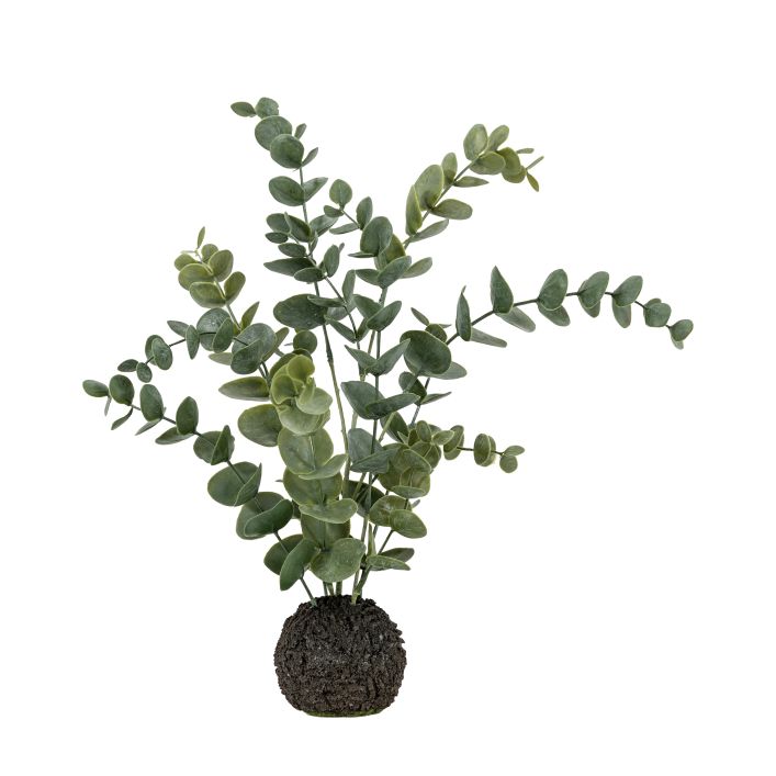 Ghedi Eucalyptus in Soil Dusky Green — SantoLusso®