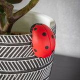Ghedi Eve Ladybird Pot Hanger (2 Pack) — SantoLusso®