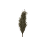 Ghedi Feathered Stem Khaki 3pk — SantoLusso®