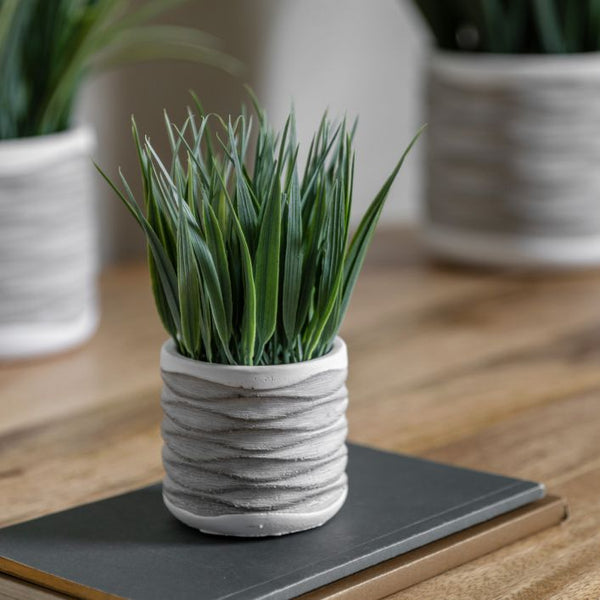 Ghedi Grass in Wavy Pot Small (2 Pack) — SantoLusso®