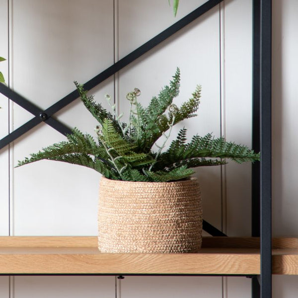 Ghedi Lady Fern in Soil Green — SantoLusso®