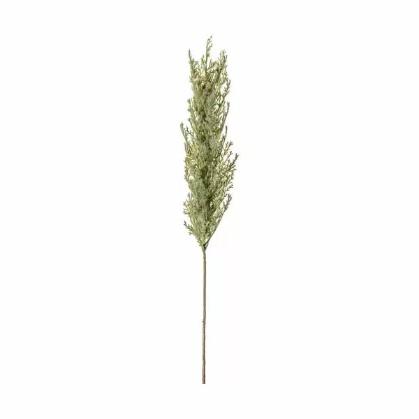 Ghedi Pampas Spray Dry Look — SantoLusso®