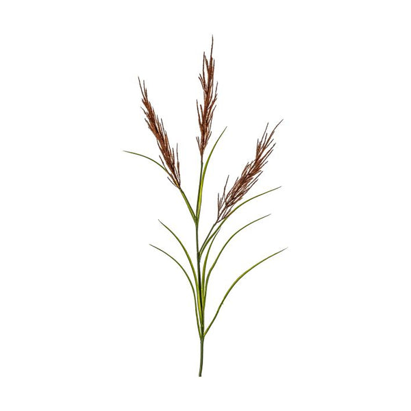Ghedi Pampas Spray Russet/Green — SantoLusso®