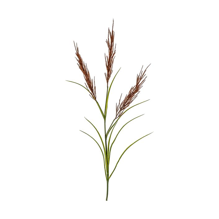 Ghedi Pampas Spray Russet/Green — SantoLusso®