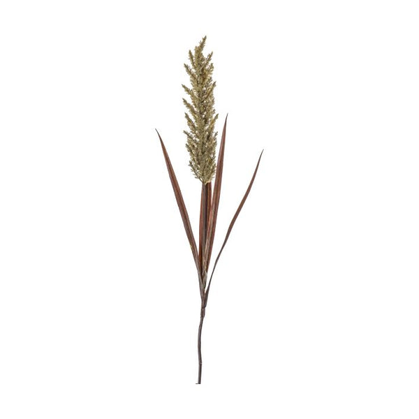 Ghedi Pampas Spray Wheat/Russet — SantoLusso®
