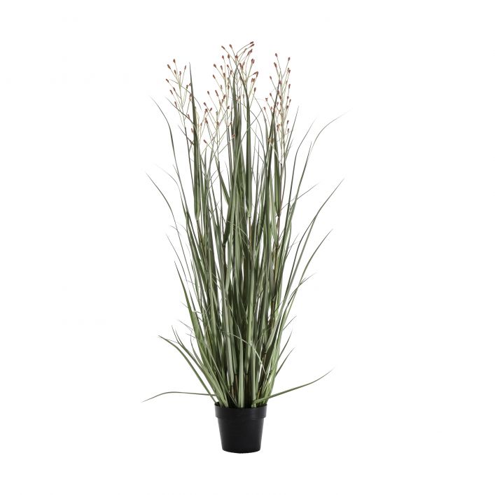 Ghedi Potted Grass with 7 Heads Green/Russet Small — SantoLusso®