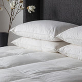 Ghedi Simply Sleep Anti Allergy Microfibre Pillow — SantoLusso®