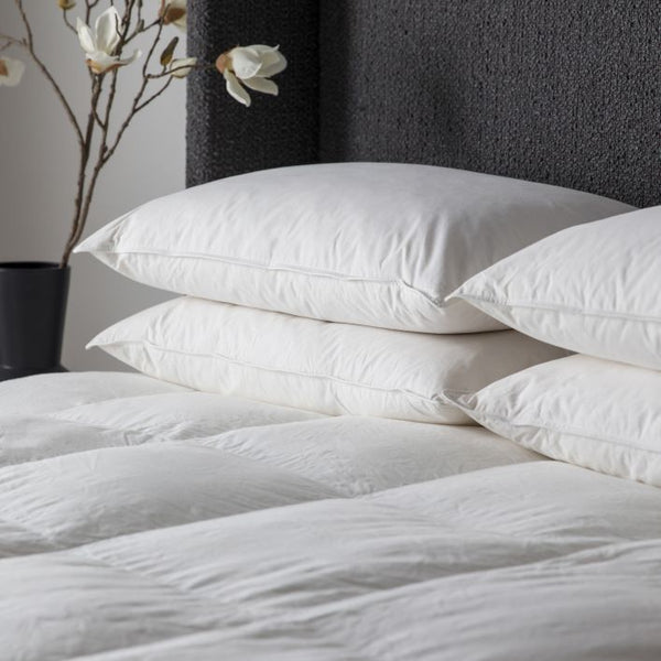 Ghedi Simply Sleep Anti Allergy Microfibre Pillow — SantoLusso®