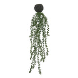 Ghedi String of Pearls in Soil — SantoLusso®