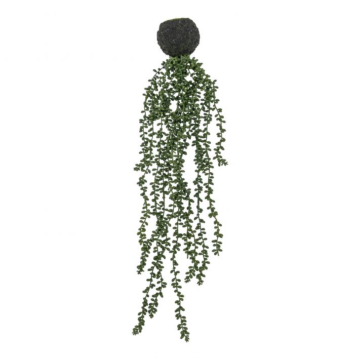 Ghedi String of Pearls in Soil — SantoLusso®