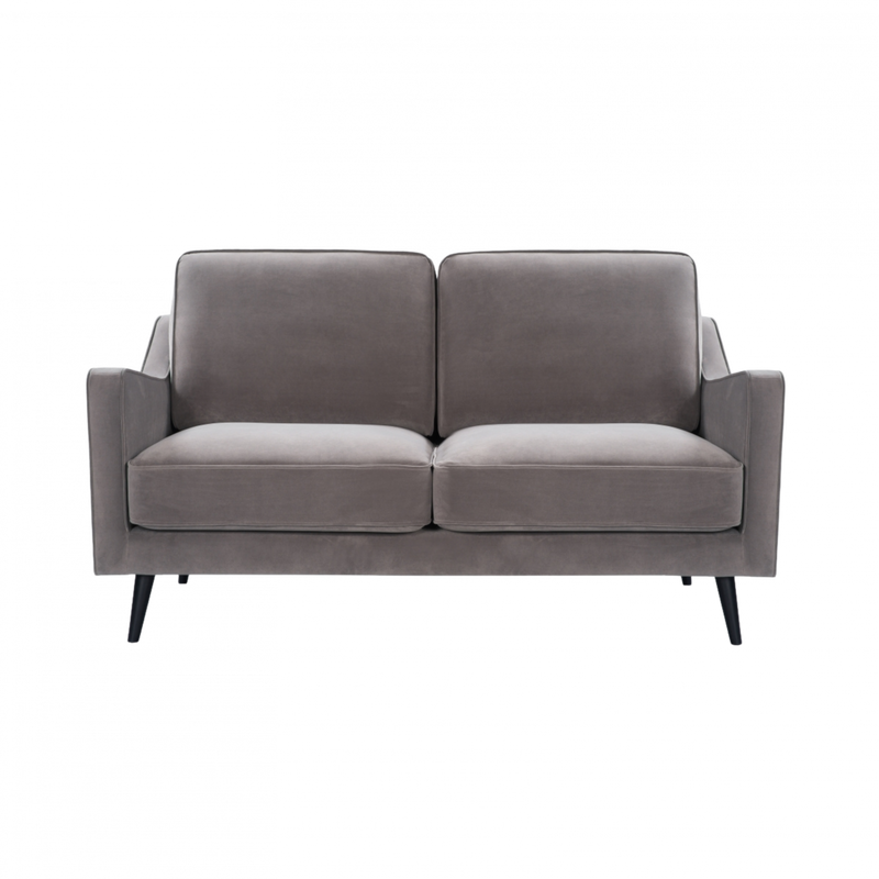 Twenty10 Daffy 2 Seat Sofa in Stone Grey Velvet — SantoLusso®