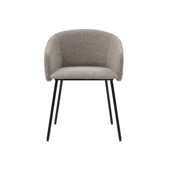 Twenty10 Fern Dining Chair in Cologne Mink — SantoLusso®