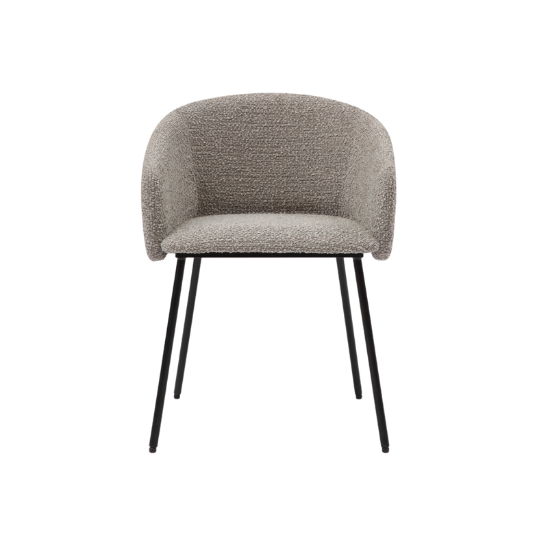 Twenty10 Fern Dining Chair in Cologne Mink — SantoLusso®
