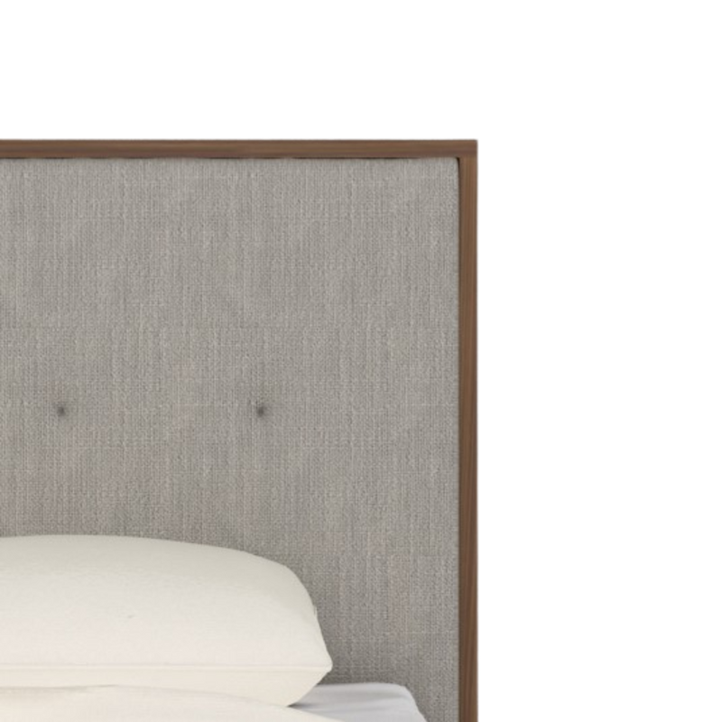 Twenty10 Ivy Single Bed in Walnut in Walnut — SantoLusso®